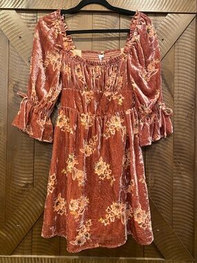 Lait Collection Siena Velvet Dress Size Small